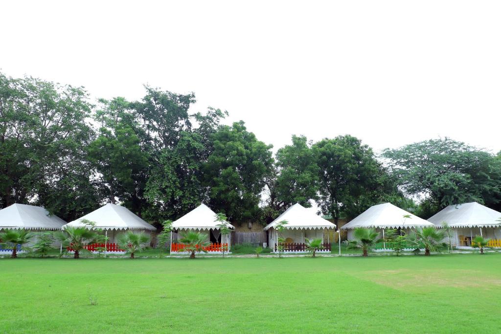 阿格拉Agra Camps and Resort的一群树木繁茂的白色帐篷