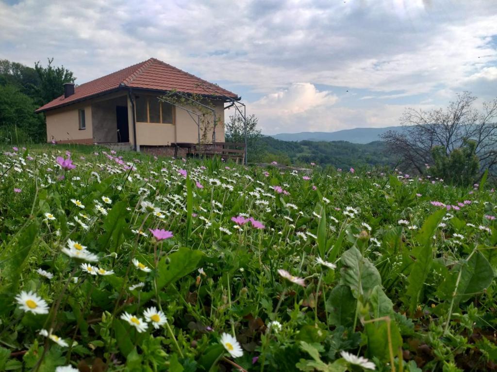 巴伊纳巴什塔Etno House Jakic的建筑物前的花田