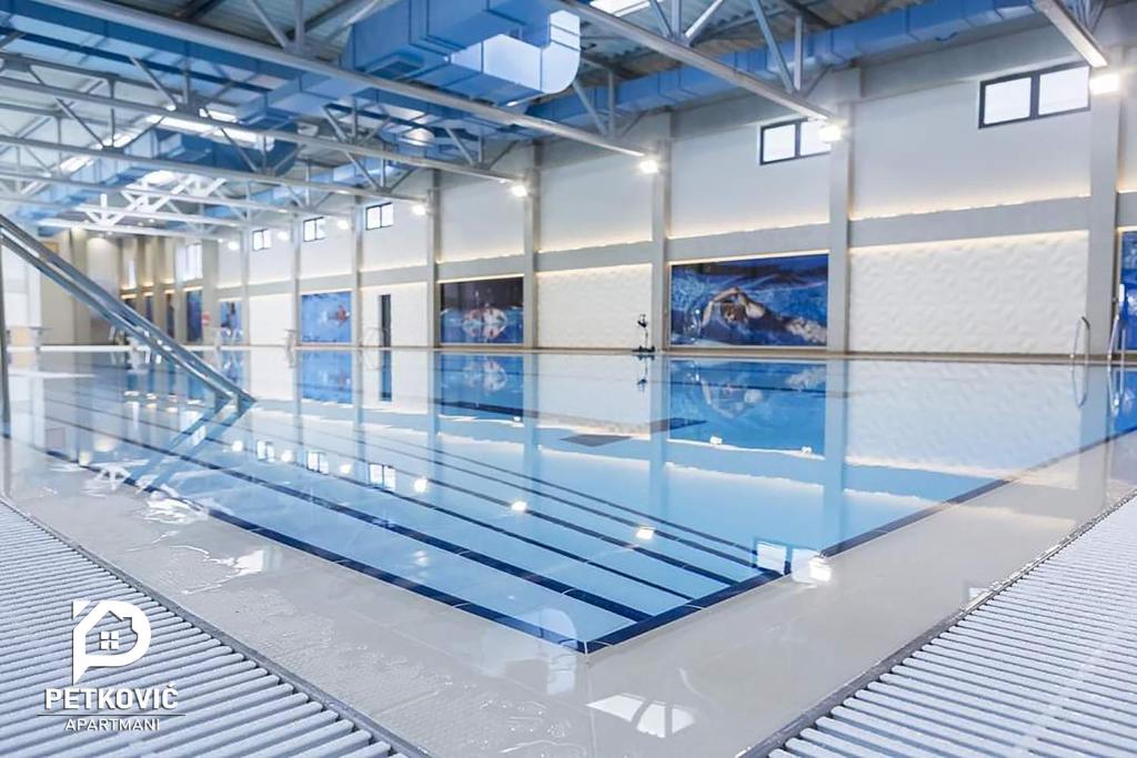 雅戈丁那Petković apartmani 34的游泳池,位于带水的大房间