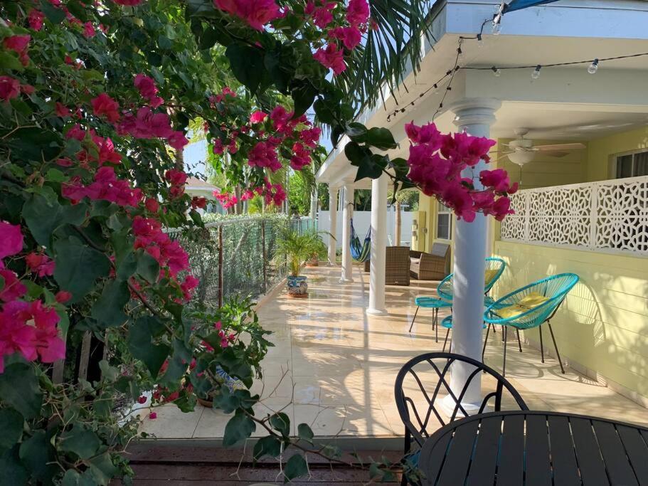 乔治敦The Diver's Inn Grand Cayman的一个带粉红色花卉和椅子的庭院和一根柱子