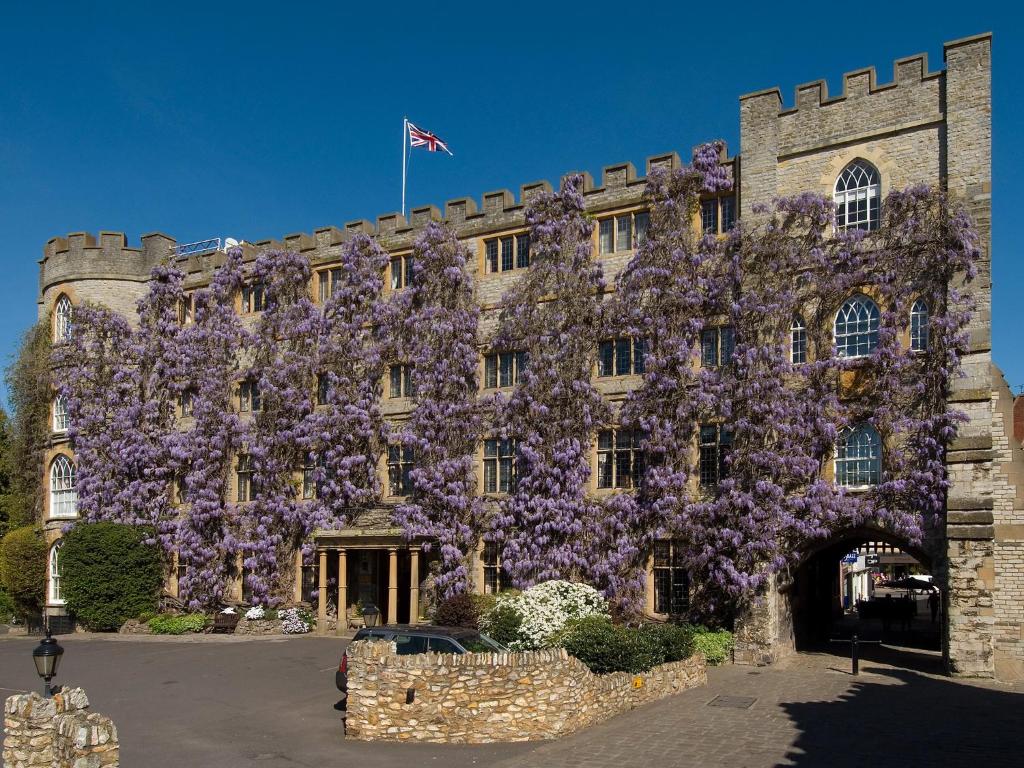 汤顿城堡酒店的一座建筑,前面有紫色的花树