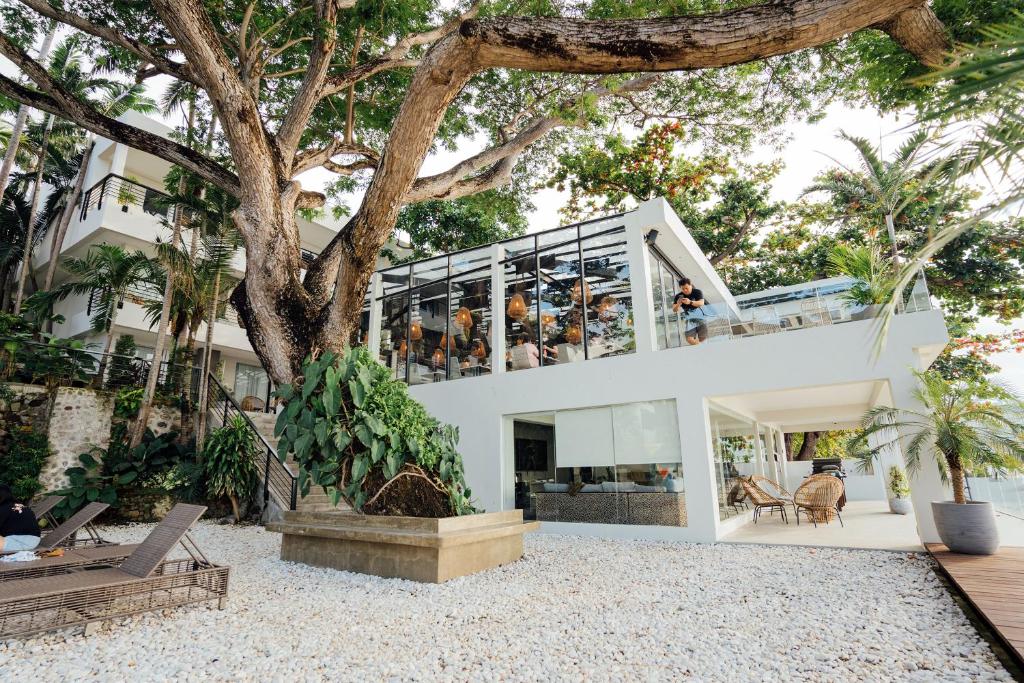 马比尼Solitude Acacia Resort的海滩上一棵树的房子