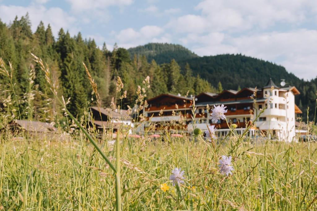 阿亨基希loisi's Boutiquehotel的花丛中一座大建筑