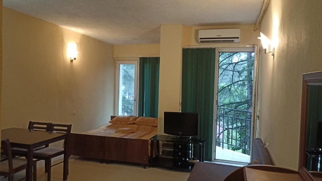 乌雷基Apartment Zhemchuzhina Ureki 2的一间卧室设有一张床、一台电视和一个窗口。
