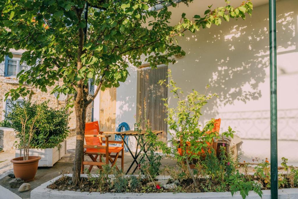 萨莫色雷斯The apricot tree studio的一个带桌椅和树的庭院