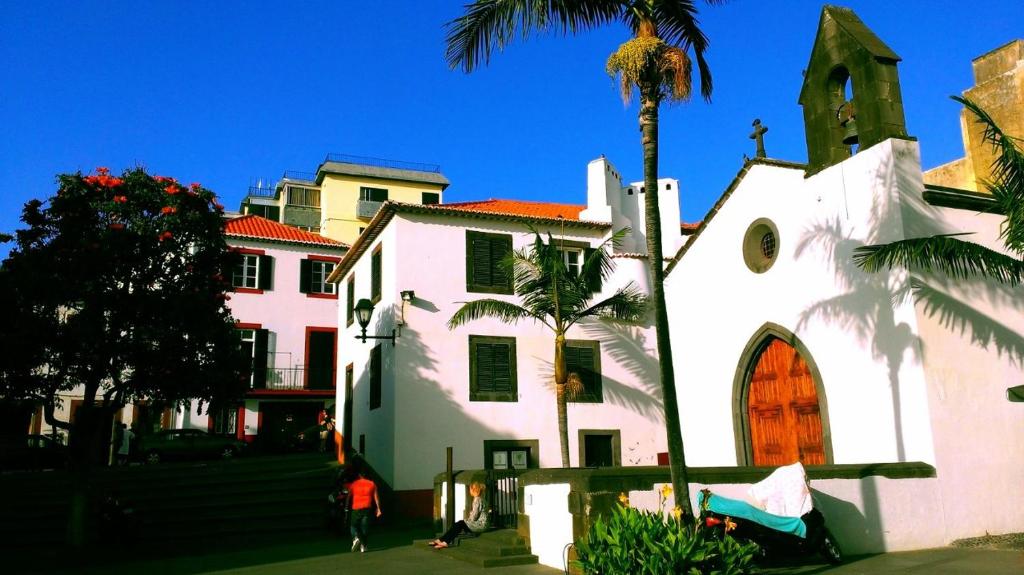丰沙尔马德拉圣玛丽亚公寓的前面有棕榈树的白色房子