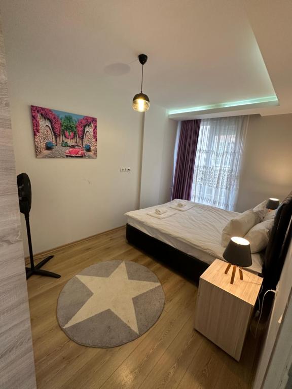 安塔利亚Toya的卧室配有一张床,地板上有一星星