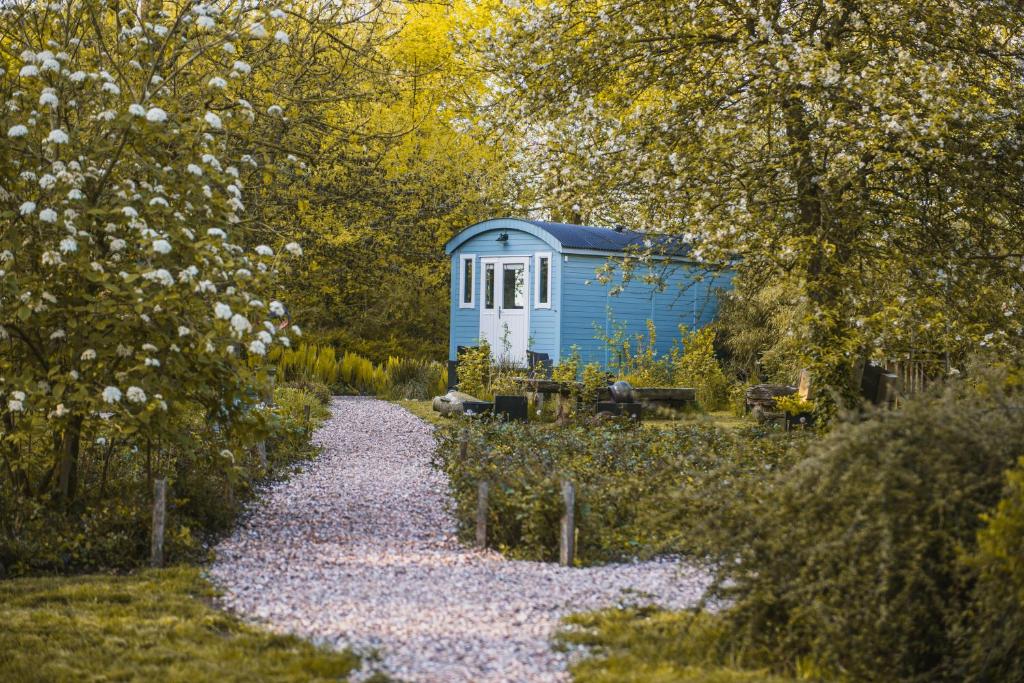 WaskemeerTiny Houses Bij De Compagnons的沙石路中间的蓝色棚子