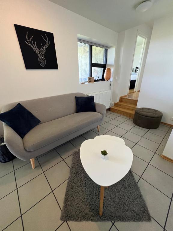霍尔斯沃德吕尔Apartment - Fíflholt的客厅配有沙发和桌子