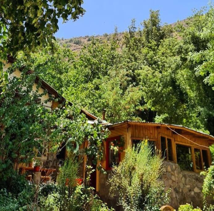 圣阿方索Acogedora cabaña entre montañas的树林中的一个小屋