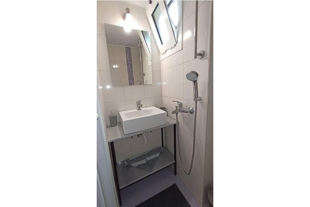 扎金索斯镇Bougainvillea apartment的一间带水槽和镜子的浴室