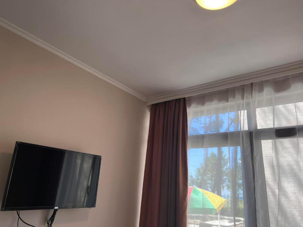 谢赫维蒂利Villa Premium Shekvetili的窗户客房内的平面电视