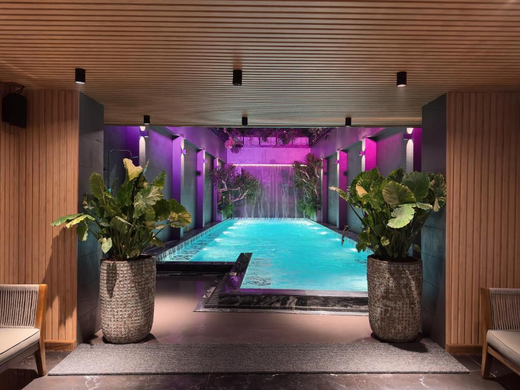 河内La Siesta Classic Hang Thung的一座拥有两株盆栽植物和紫色灯光的游泳池
