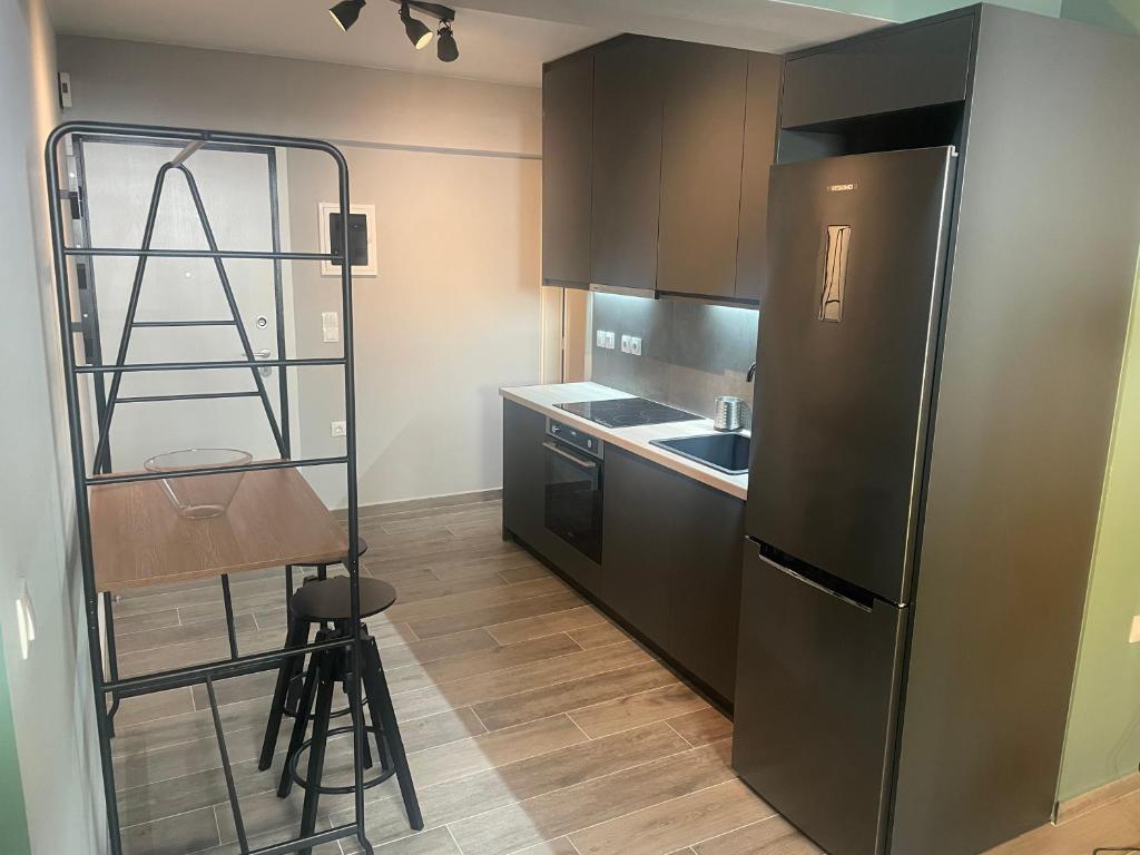 比雷埃夫斯Comfy 1Bdr apartment Netflix-WiFi的带冰箱的厨房和梯子