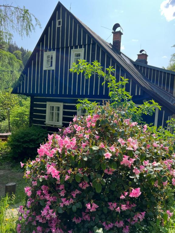 伊泽拉河畔亚布洛内茨Roubenka Bratrouchov的前面有粉红色花的蓝色房子