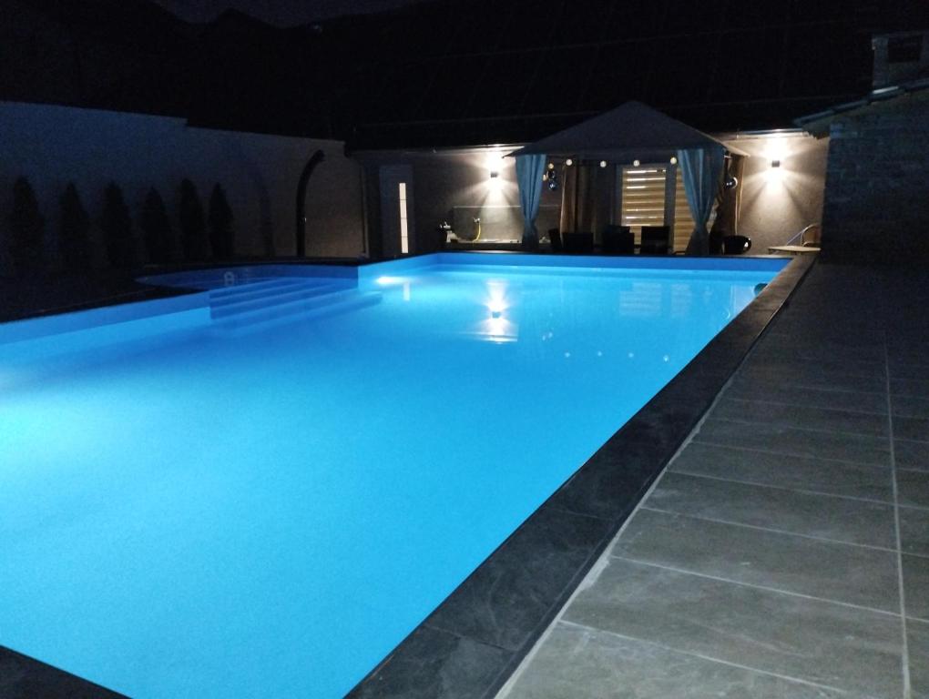 彼得罗瓦拉丁Villa Klaudija的一个带凉亭的大型游泳池
