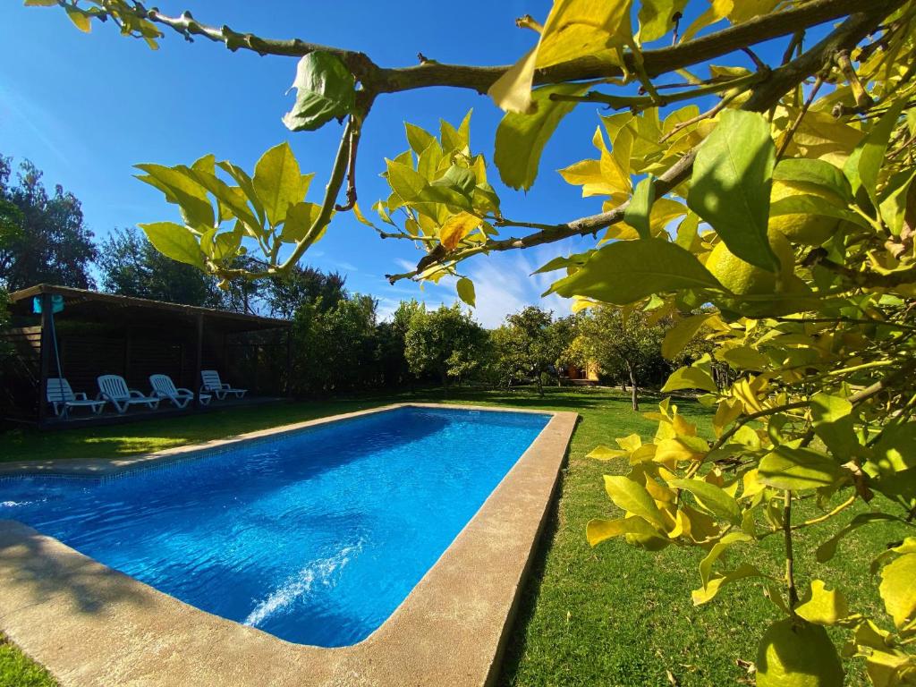 奥尔穆埃Cabañas SPA Olmue的一座房子的院子内的游泳池