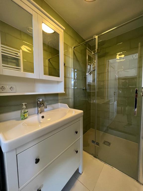 鹿特丹MyCityLofts的一间带水槽和淋浴的浴室