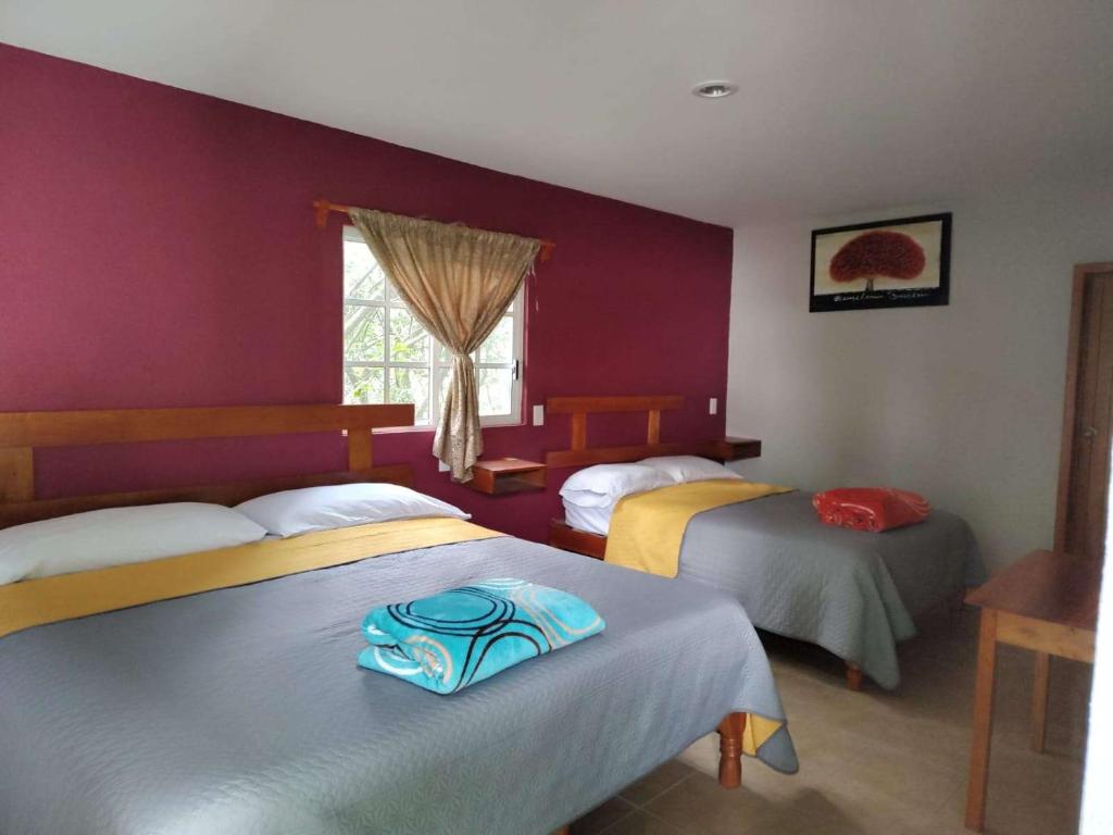 希利特拉Hotel posada onix xilitla的一间卧室设有两张床和窗户。