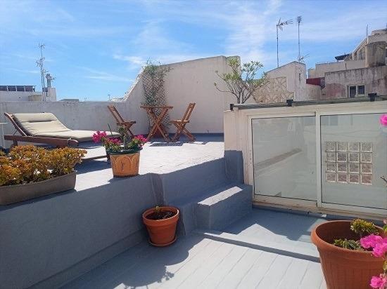 塔里法Casa Florinda Tarifa的屋顶上种植盆栽植物的阳台