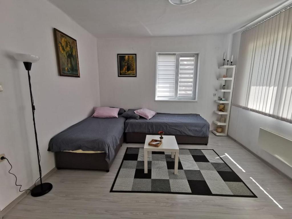 大特尔诺沃Mira Home的一间卧室配有两张床和一张桌子