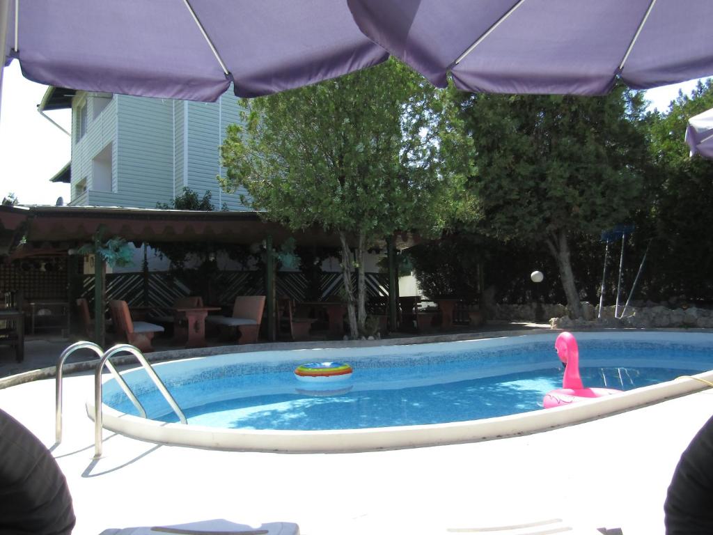 瓦尔纳Hostel Papagal的游泳池配有粉红色火烈鸟和遮阳伞