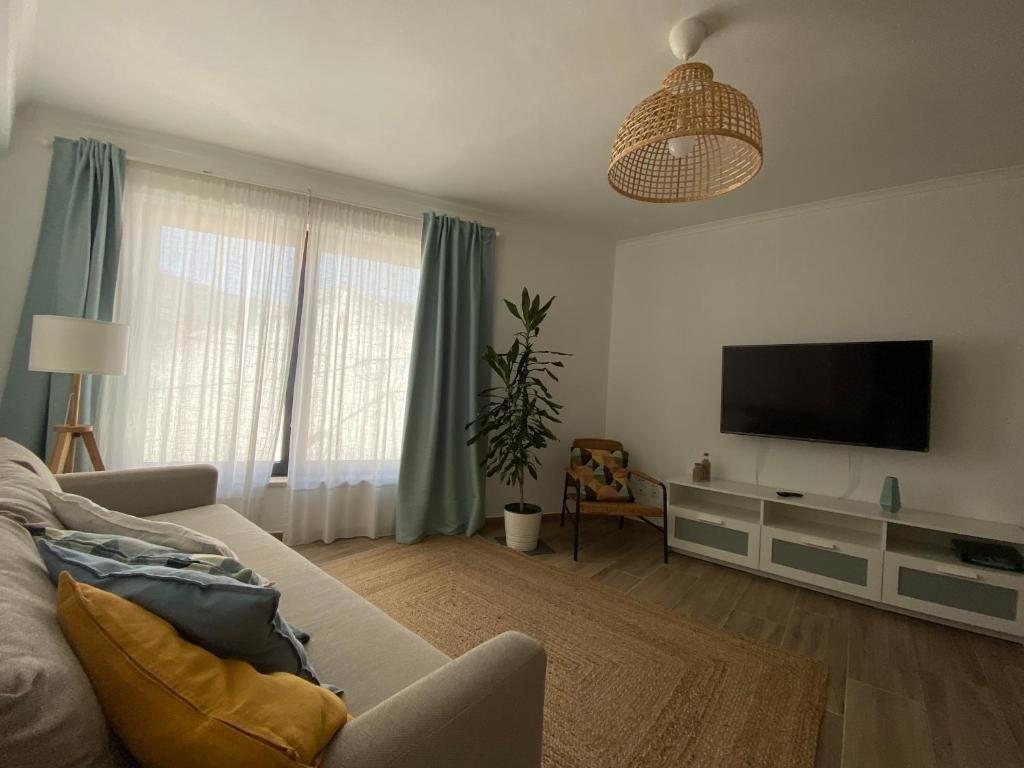 奥德赛克斯Casa da Amoreira的带沙发和平面电视的客厅