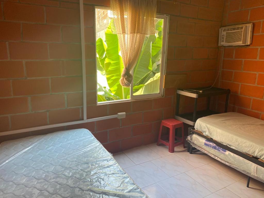 阿沃莱特斯Villa Celeste的一间设有床铺和植物窗户的房间