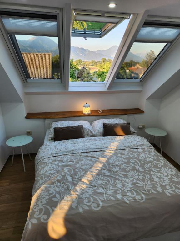 布莱德Vila Rajska ptica的一间卧室设有一张大床和两个窗户