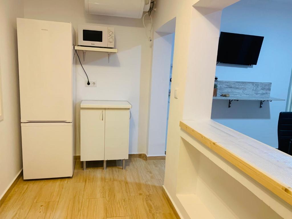 蓬塔翁布里亚Apartamento Delfin - Punta Umbria的小厨房配有冰箱和微波炉。