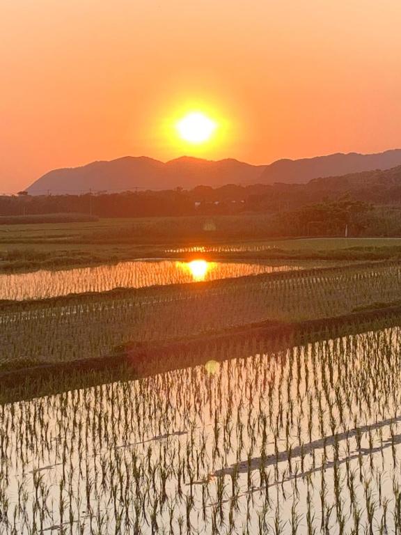 立山町Ao to Yuuhi - Vacation STAY 34462v的落在稻田上的日落,在后面的太阳下