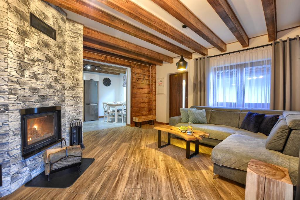 索利纳Chaty na Skalistym Wzgórzu的带沙发和壁炉的客厅