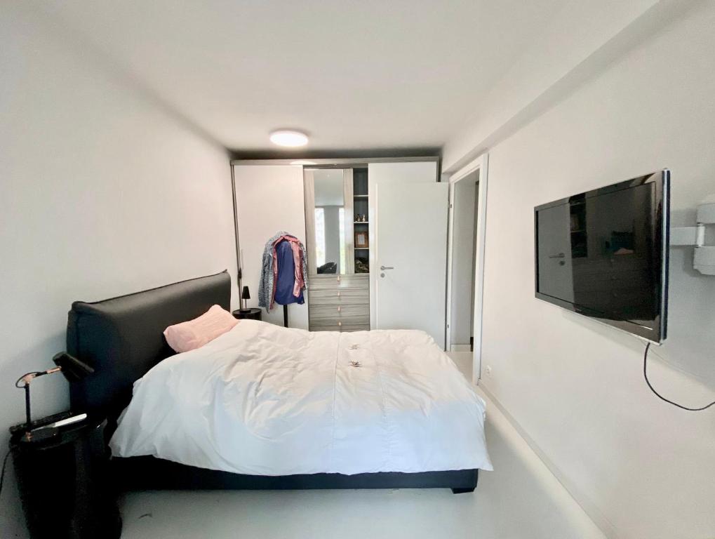 尼翁NYON - Appartement meublé tout confort的卧室配有白色的床和平面电视。