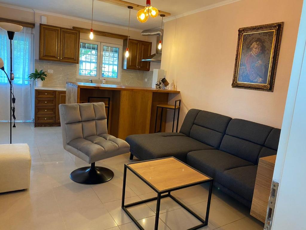吉诺卡斯特Martin Villa Gjirokaster的客厅配有沙发和椅子
