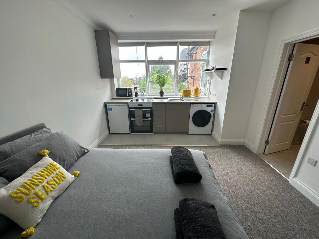 亨顿Sunny Modern, 1 Bed Flat, 15 Mins Away From Central London的带沙发的客厅和厨房