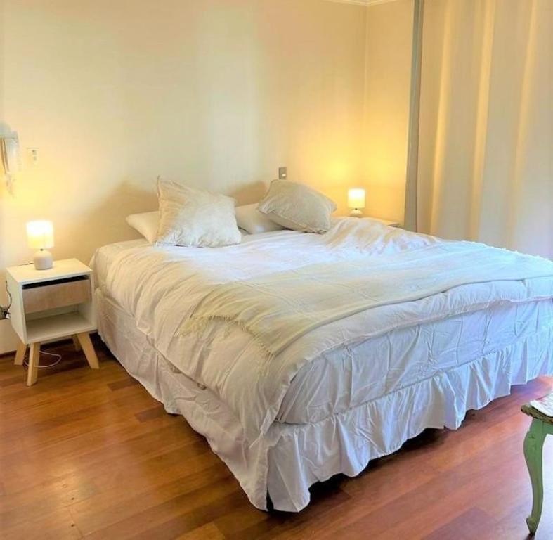 圣地亚哥Hermoso Depto en sector alto de Las Condes的一间卧室配有一张大床,上面有两盏灯