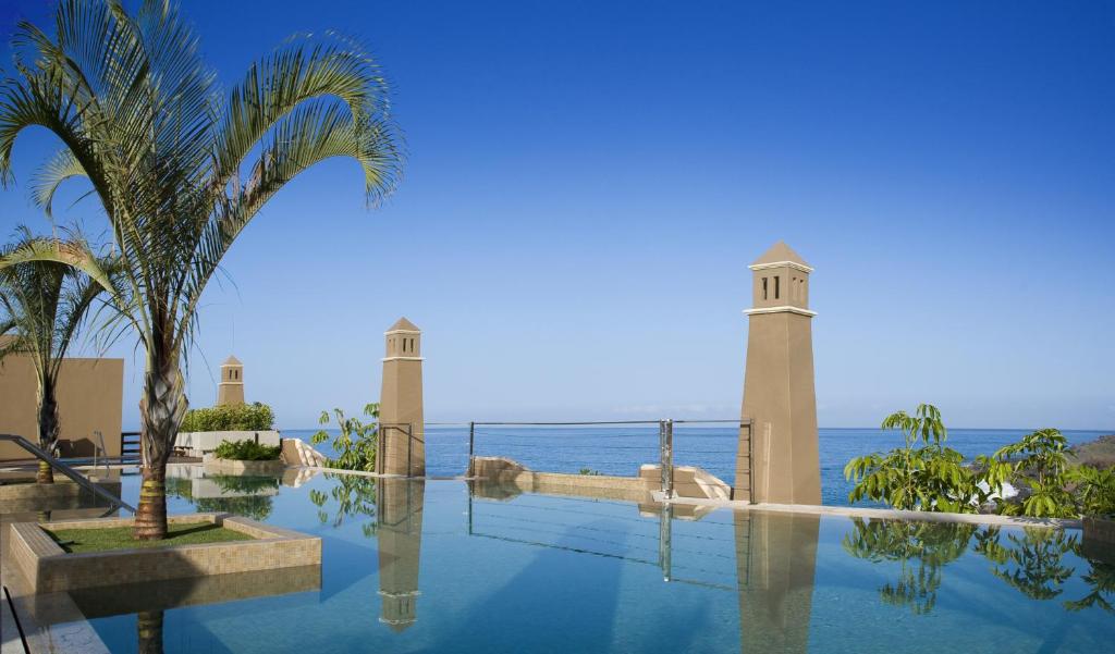 巴耶格兰雷伊卡雷拉海滩酒店的一座棕榈树和海洋游泳池