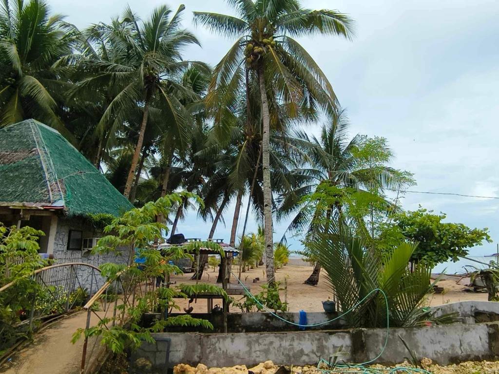 BuenavistaTiliponan Nipa Hut的棕榈树掩映的海滩上的房子