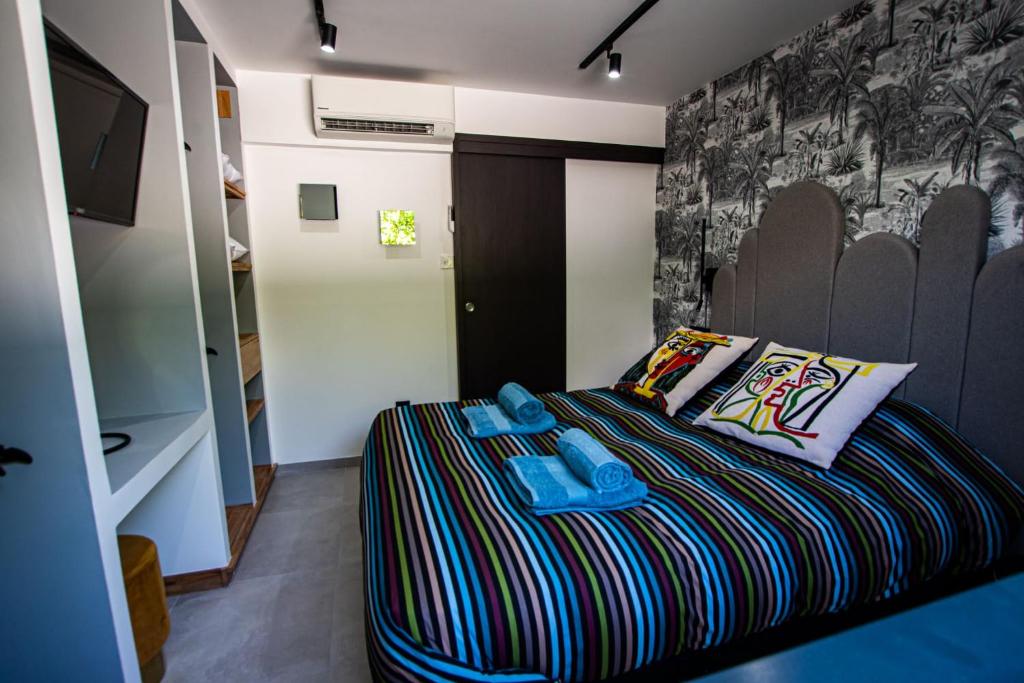 弗雷瑞斯Appartement de caractère avec Jacuzzi的小卧室配有一张带彩色毯子的床