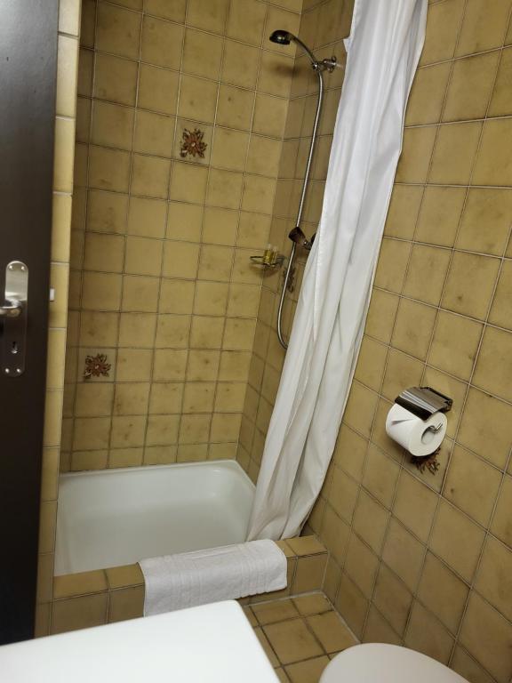 格拉鲁斯Hotel Stadthof Glarus的带淋浴、卫生间和盥洗盆的浴室