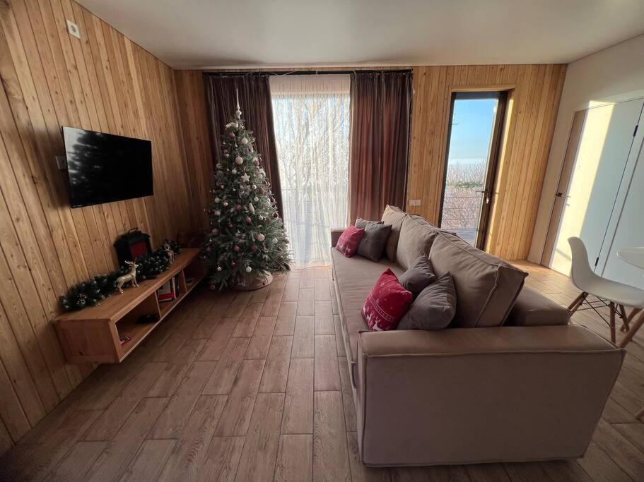 阿拉木图Alma house - White的客厅配有圣诞树和沙发