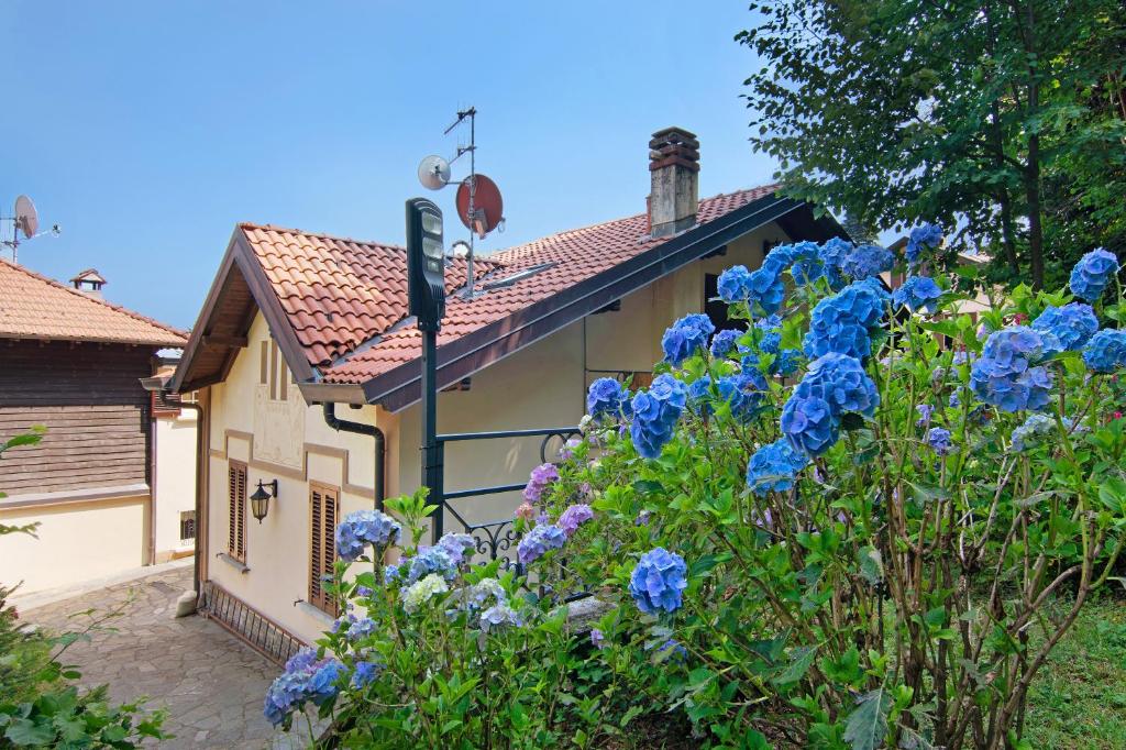 兰佐丁泰尔维Residenza ai Noci的前面有蓝色花朵的房子