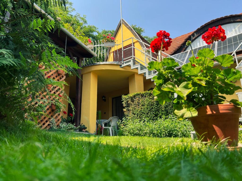 托考伊Óvár 12 Vendégház的带阳台的黄色房子和院子里的植物