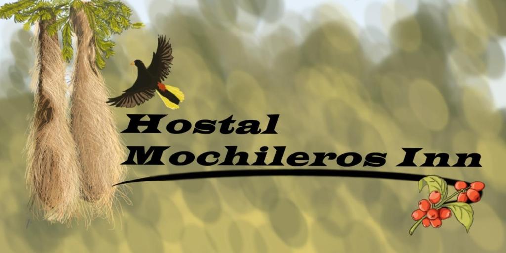 锡卡西亚Hostal Mochileros Inn的鸟在树旁飞