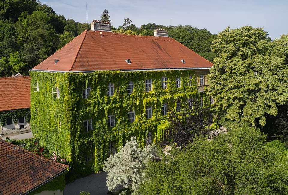 多瑙河畔克雷姆斯Schloss Hollenburg Aparte Apartments的一座被绿色常春藤覆盖的建筑,有红色屋顶