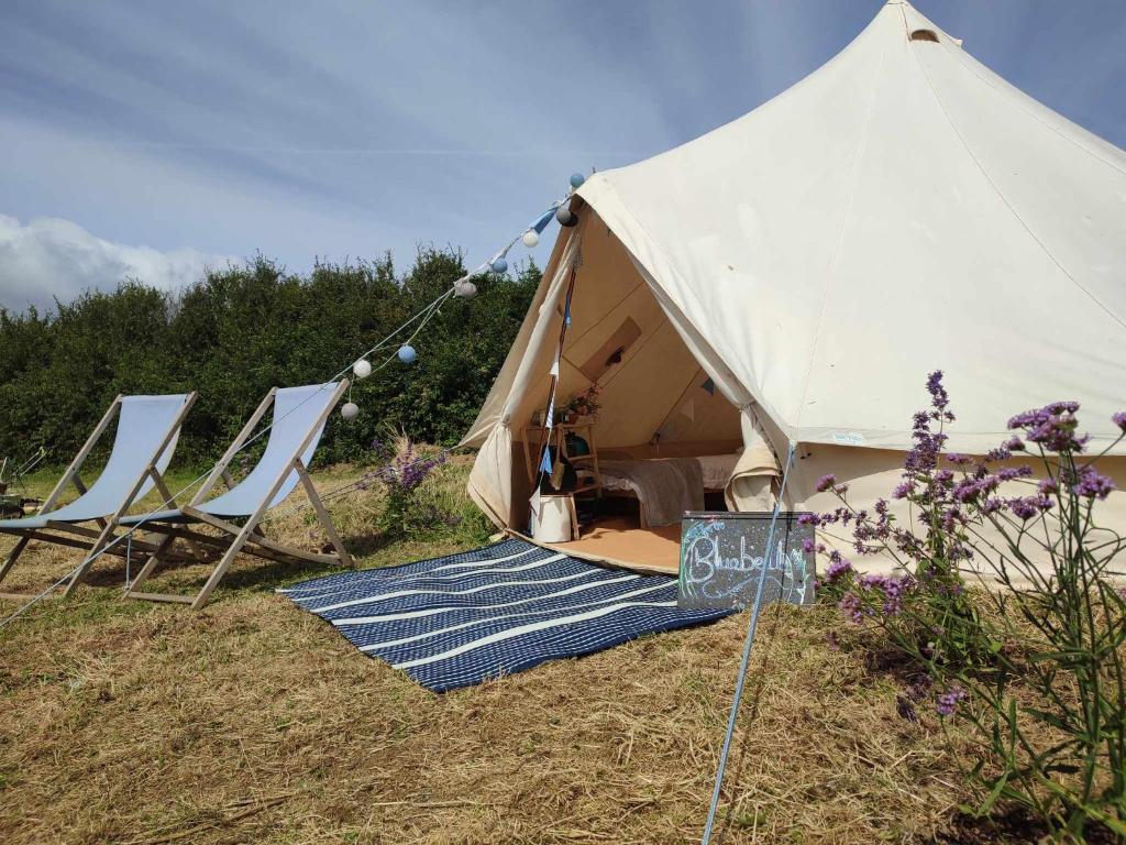 波思利文Porthleven Glamping的白色帐篷,配有椅子和蓝色地毯