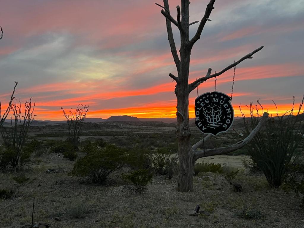 特灵瓜Rancho de los Arboles Muertos的沙漠中一棵树,上面有标志