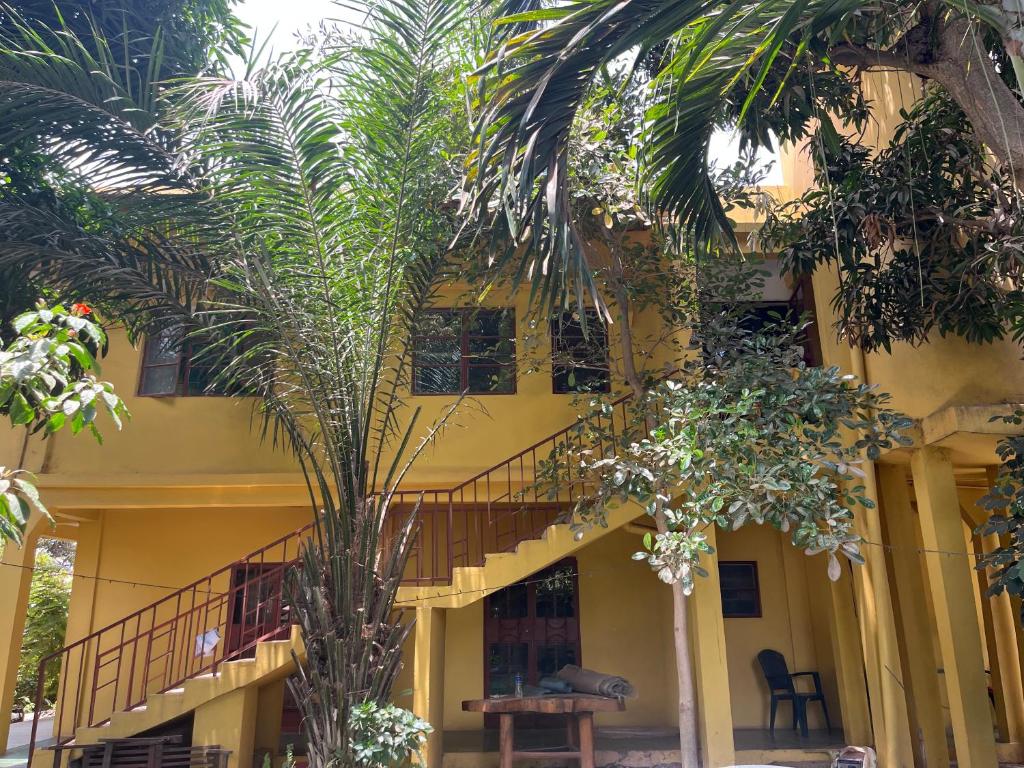 Sere KundaBoli Boli Guesthouse的一座棕榈树的黄色建筑