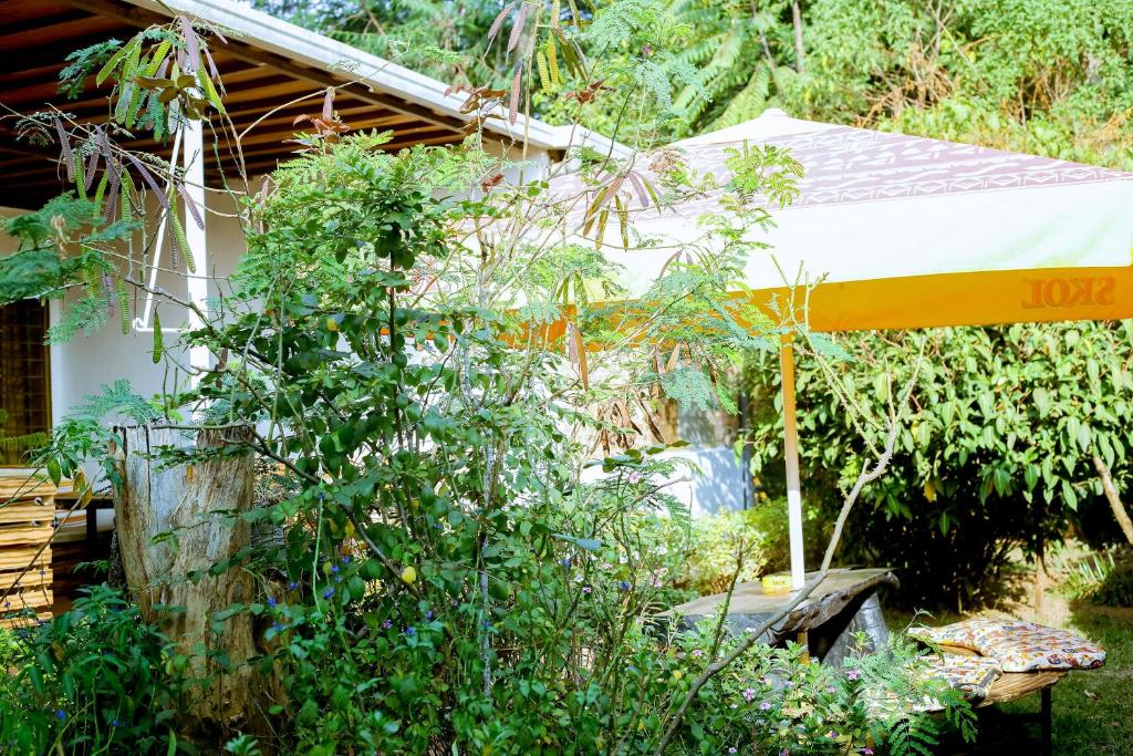 基加利INZOZI AFRICA HOUSE B&B-Kimihurura的花园设有黄色和白色的遮阳伞
