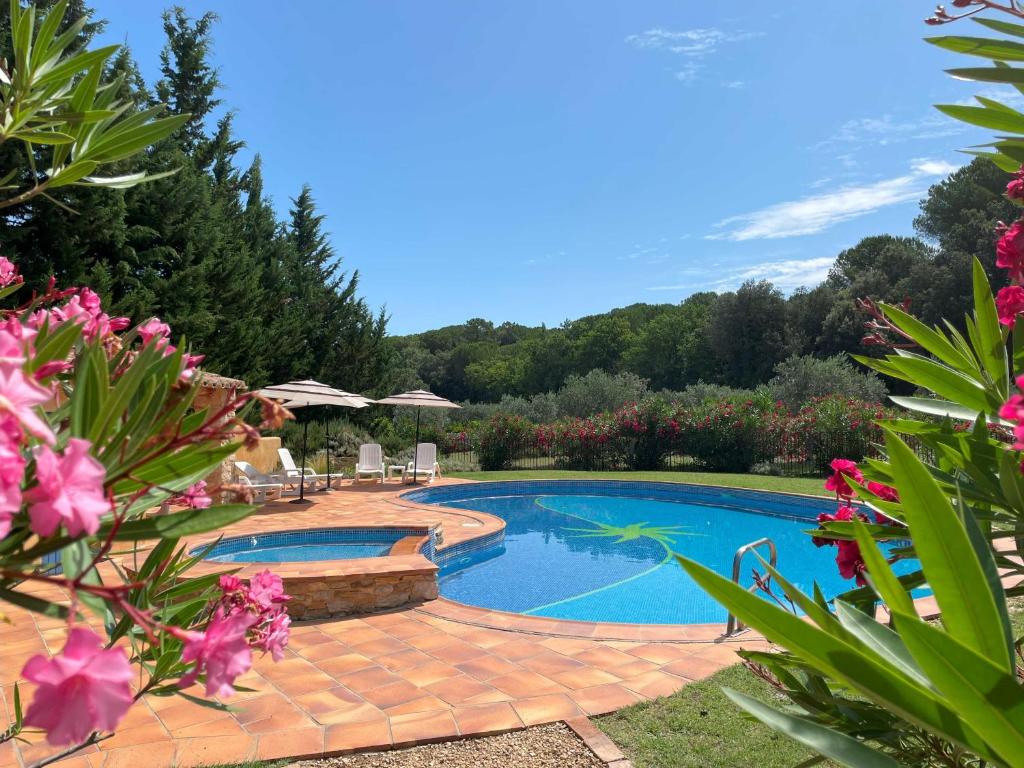 叙兹拉鲁斯Mas des Lavandes - 3 gîtes de charme au calme avec grande piscine en Drôme-Provençale的一座游泳池,位于一个拥有粉红色花卉的庭院内
